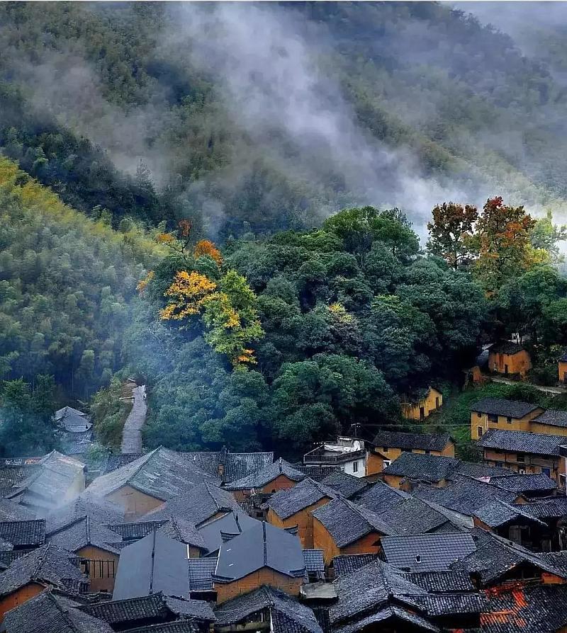 逃离午夜神坛